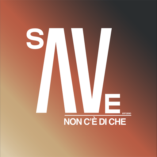 Logo SAVe Zone